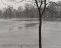 Rain, Lake Julia