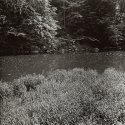 Neshannock Creek #4