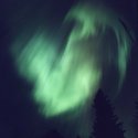 Northern Light
