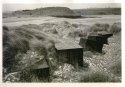 Sea Defences, Alnmouth