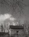 Cabin And Branch