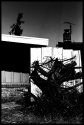 Fierce Absurdity 1