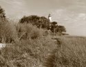 Path To St Marks  Lighthouse
