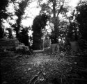 Pinhole Cemetery