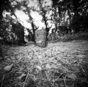 Pinhole Cemetery
