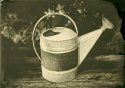 Old Watering Can