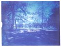 Pinhole Office Garden