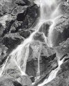 Grizzly Fall