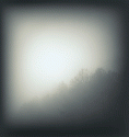 Treeline