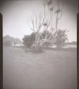 Baked Film?  Is That The Problem Here?