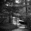 Carl Sandburg Home