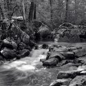 Marsh Creek