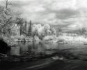 Pine River
