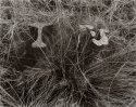 Colliery Railroad Remains Again