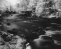 Pine River In Northern Wisconsin