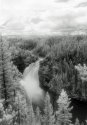 Yellowstone Falls