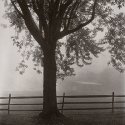 Barn In Fog
