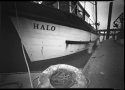 The Halo (pinhole)