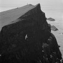 "Fulmar and Kittiwake, Mykines, Faroe Islands"