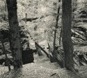 Ledges