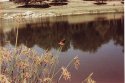Lake Somewhere