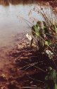 Lake Somewhere