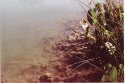 Lake Somewhere