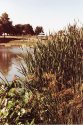 Lake Somewhere