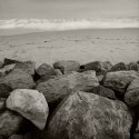 Rocks And Shore, San Francisco