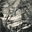 Branch In Quicksilver