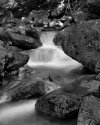 Falling Waters Trail