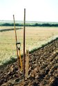 Ploughing Match