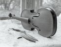 Violin On Workbench