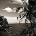 Martinique Passage