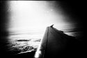 Img741