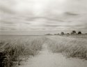 Shoreline