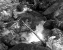 Stream And Stick