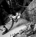 Odysseas The Cyclist