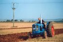 Ploughing Match