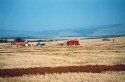 Ploughing Match