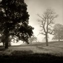 Misty Landscape Leixlip Kildare