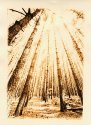 My First Lith Print
