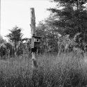 Birdhouse4