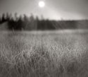 "Morning has broken"