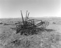 Rusty Old Horse Drawn Plow, Traver Ranch