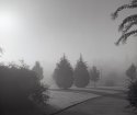 Foggy-fall-morning 850x711