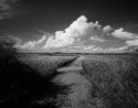 Cumulus 3