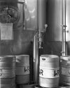 Wild Rose Brewery