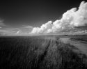 Cumulus 5
