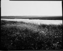 Brigantine, Nj, Paper Negatives